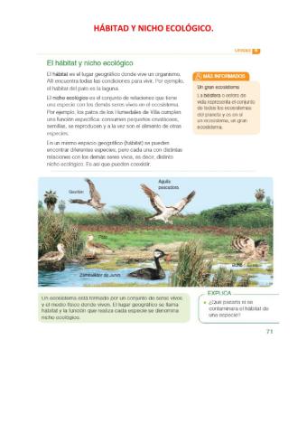 Habitad y nicho
