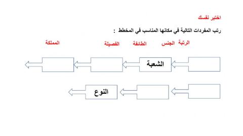 ورقة عمل التصنيف رابع
