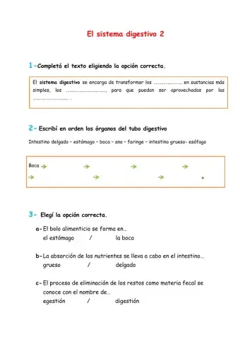Sistema digestivo. Actividades