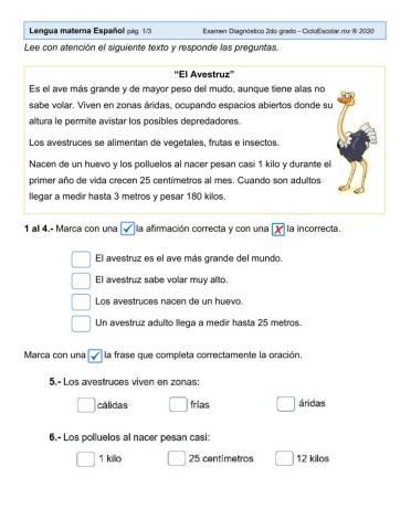 Diagnóstico español 2o grado, primaria.