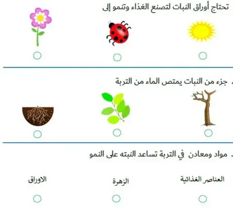 حاجات النبات