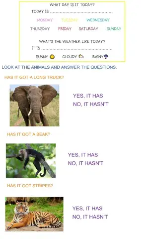 Has it got-have you got