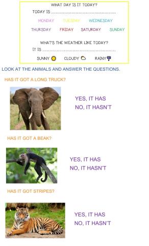 Has it got-have you got