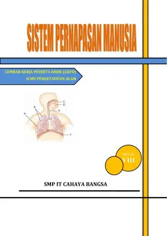 Sistem Pernapasan Manusia
