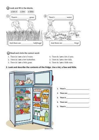 A few, a little, a lot of