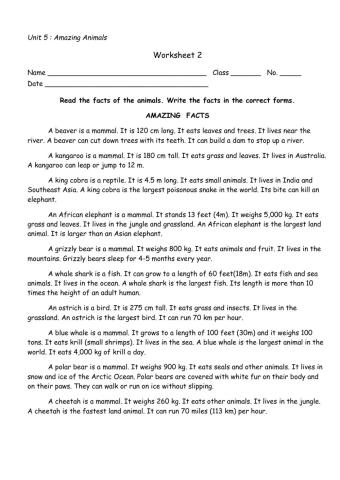 Animals Amazing Fact