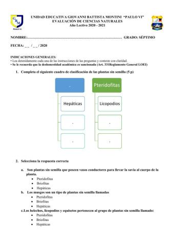 Plantas sin semillas