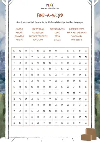 Goodbye House, Hello House Box Find A Word