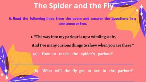 The spider and  the fly-Comprehension questions...