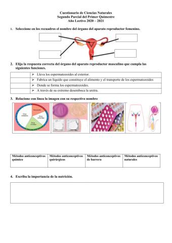 Cuestionario ccnn octavo
