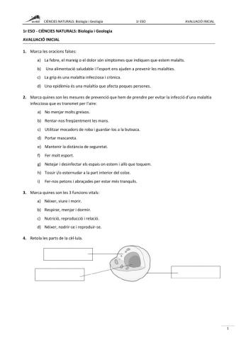 AVALUACIÓ INICIAL DE NATURALS 1r ESO