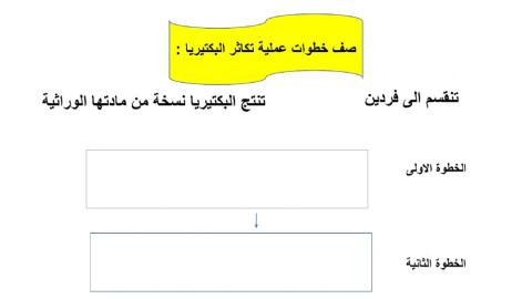 ورقة عمل التكاثر اللاجنسي خامس