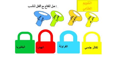 التقويم الختامي التكاثر الاجنسي