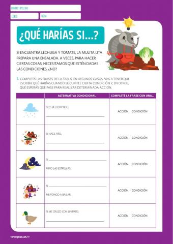 INTRODUCCIÓN AL CONDICIONAL