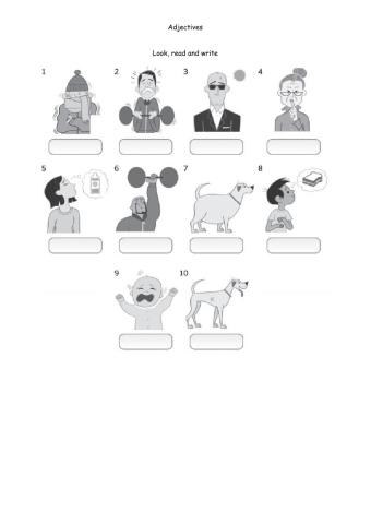Adjectives