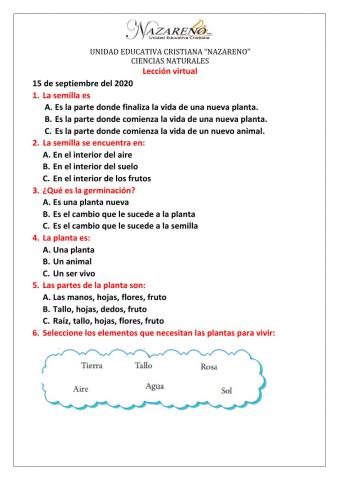 Lección de las plantas