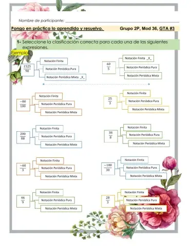 Clasificación de notaciones decimales