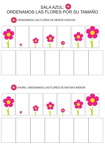 Ordenamos flores por tamaño