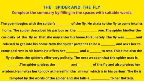 The spider and  the fly