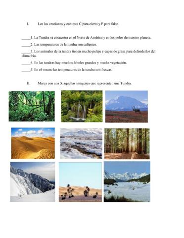 Flora y Fauna de la tundra