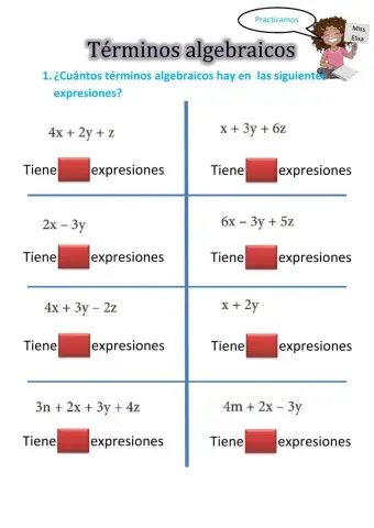 Términos algebraicos