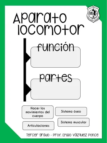 Aparato locomotor