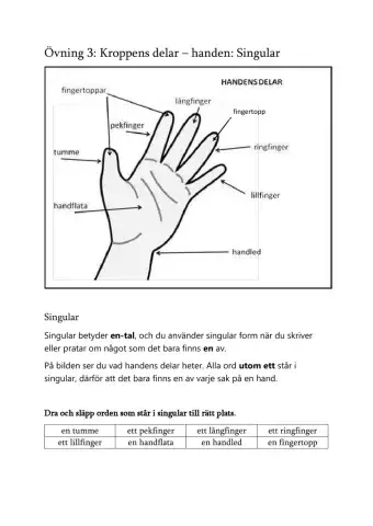 Kroppens delar: handen