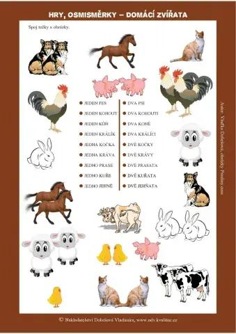 Plurál substantiv 2