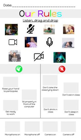 Our Rules in online lessons