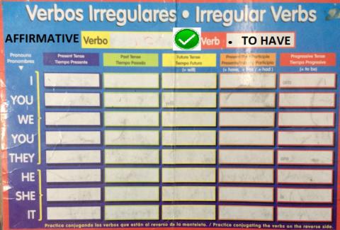 Verb to have  affrimative