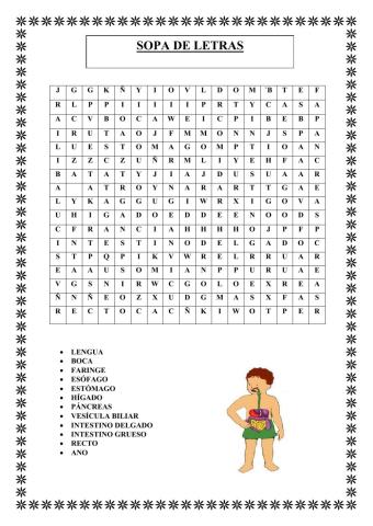 Sopa de letras