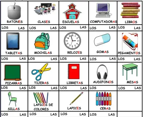 Las-los vocabulario