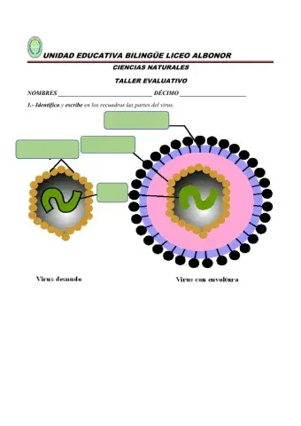 Taller sobre los virus