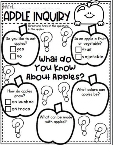 Apple Inquiry
