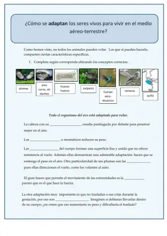 ¿Cómo se adaptan los seres vivos para vivir en el medio aéreo-terrestre?