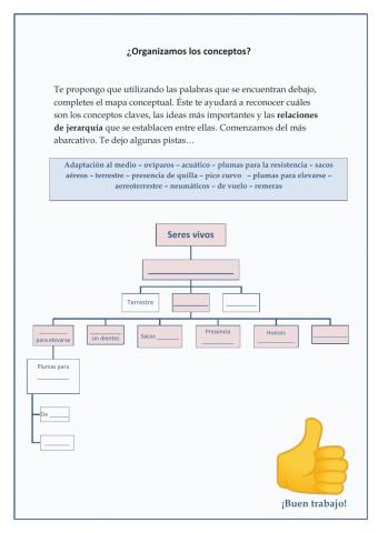 Organizamos conceptos