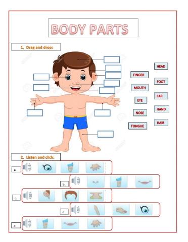 Body Parts