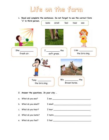 Farm activities using five senses