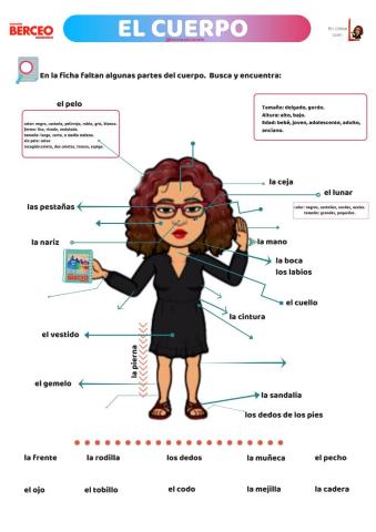 Las partes del cuerpo