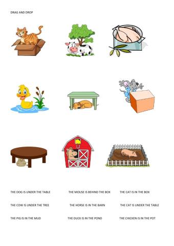 Farm animals - Prepositions