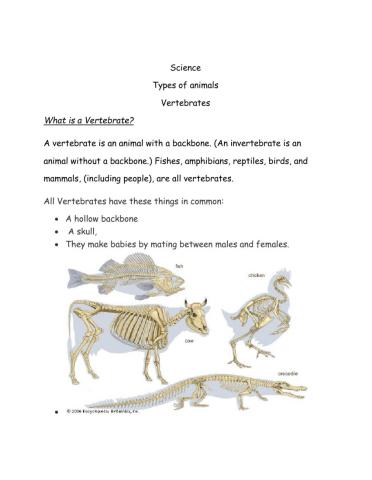 Vertebrates