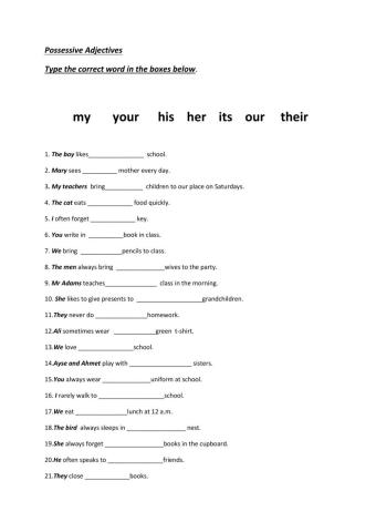 Possessive adjectives