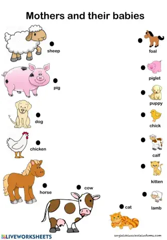 Mother and their babies