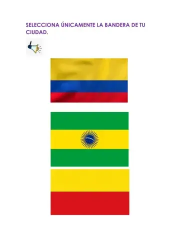 La bandera de mi ciudad.