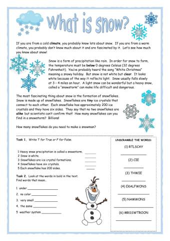 What is Snow? Reader