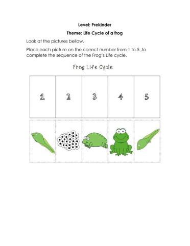 Frog-s Life Cycle