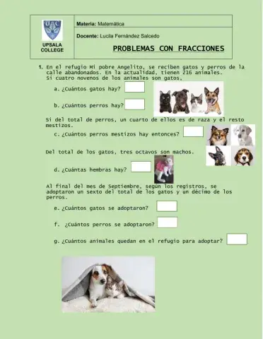 Problemas con fracciones