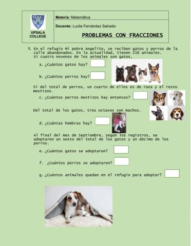 Problemas con fracciones