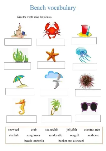 Beach vocabulary