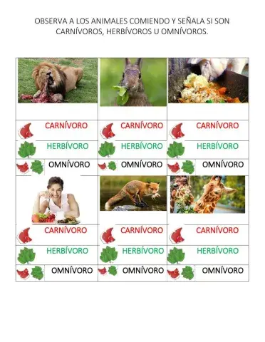 Clasificación de los animales según su alimentación